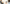 DN Header Digital Natives DN Header Digital Natives